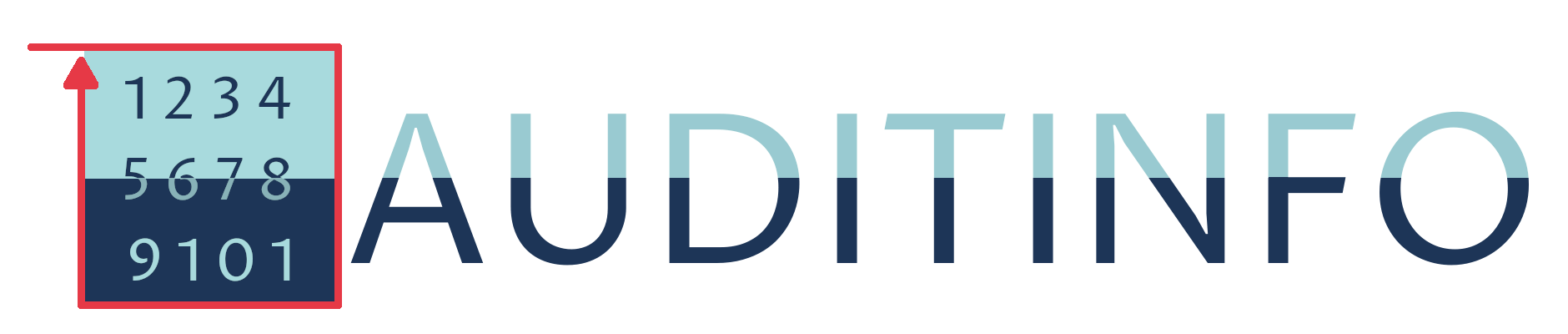 auditinfo.net - weboldal felújítás