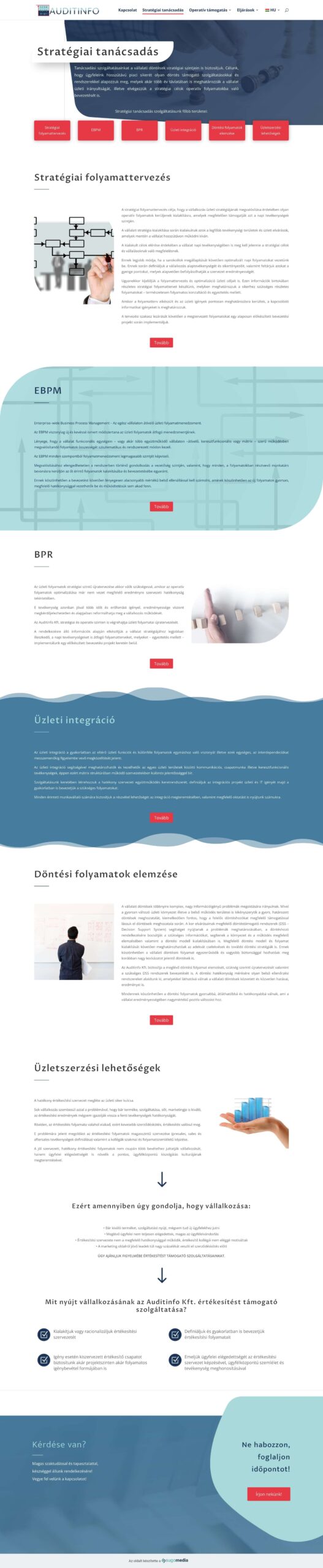 auditinfo.net - honlap felújítás